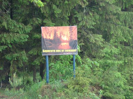 В лесах Малопругинского района все еще есть взрывоопасные предметы