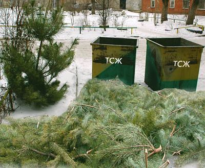 Матвиенко попросила петербужцев выкинуть новогодние елки с балконов