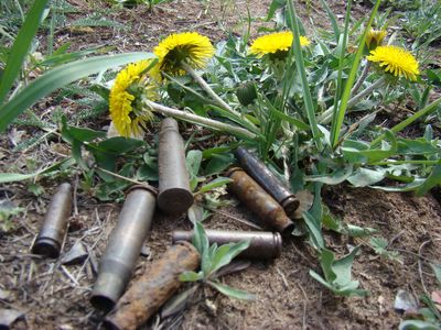 Очищать территорию  воинской части в Пугачево от снарядов будут в течение года