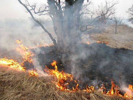 Количество пожаров в Ижевске сократилось на 20%