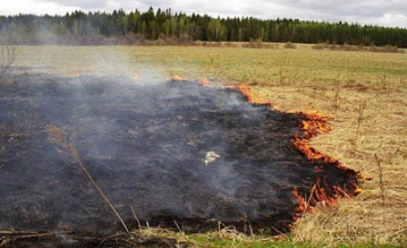 Три полевых пожара произошло в Удмуртии с начала недели