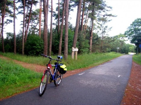 Велосквер в Ижевске появится в 2015 году