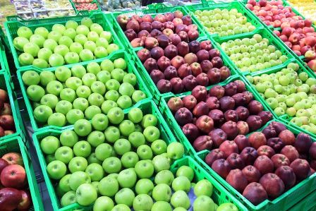 Россия запретила поставку фруктов и овощей из Албании