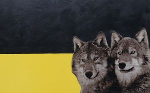 В Ижевске открывается выставка Энвиля Касимова «Волки»