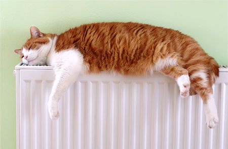 Отопление появится в домах всех ижевчан за выходные 