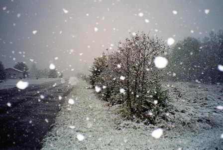  Мокрый снег будет идти в Удмуртии ближайшие два дня Мокрый снег будет идти в Удмуртии ближайшие два дня