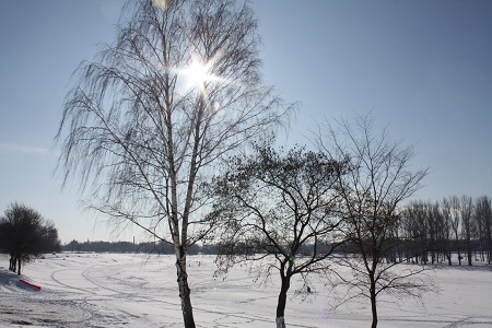 Солнечная и сухая погода продержится в Ижевске до середины недели