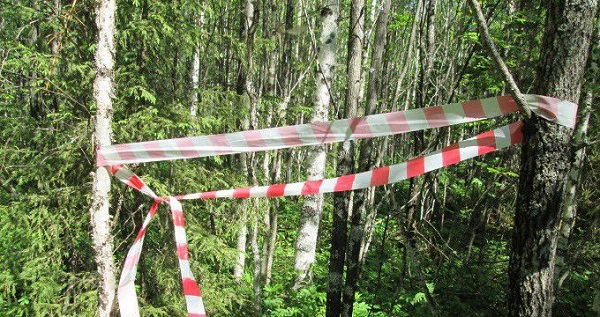 Групповое убийство произошло в Ленинском районе Ижевска