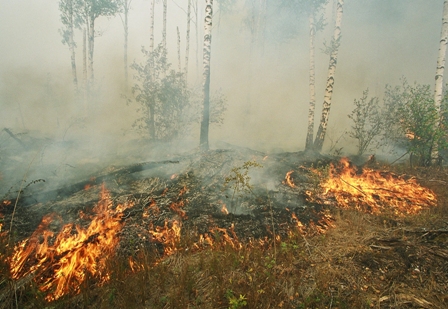 86 пожаров зарегистрировано в Ижевске с начала сезона