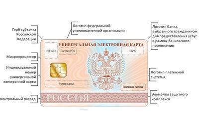Россиянам показали новые электронные паспорта