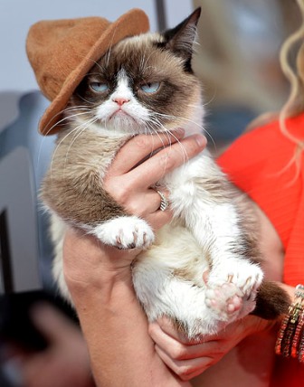 Сердитый кот произвел фурор на церемонии MTV
