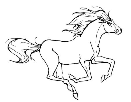 Лошадь станет символом зимней олимпиады в Грахово 