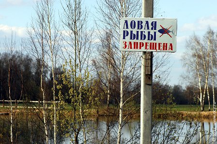 Запрет на ловлю рыбы введут в Воткинском районе
