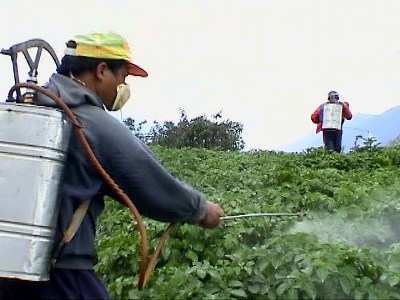 Опасными пестицидами отравили жителей Сюмсинского района