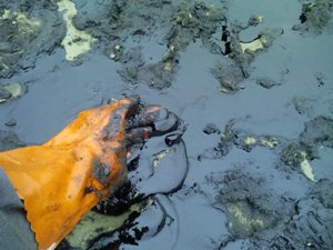 Аварийный разлив нефти в Удмуртии угрожает Нижнекамскому водохранилищу