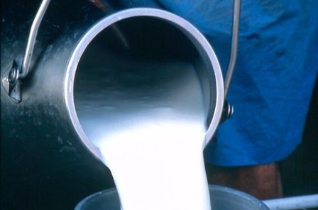 Более 2 тонн молока украли доярки в Граховском районе
