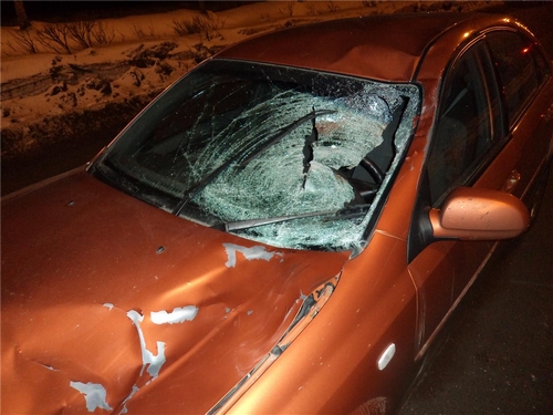 В Ижевске отпустили домой водителя, насмерть сбившего 2 пешеходов