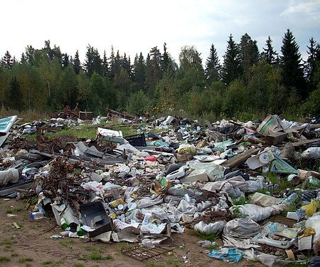 Предприятия Ярского района завалили 3 тысячи квадратных метров земли мусором