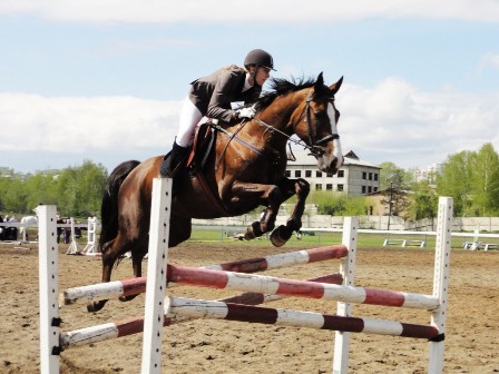 Соревнования по конному спорту на Кубок Госсовета Удмуртии пройдут в Ижевске