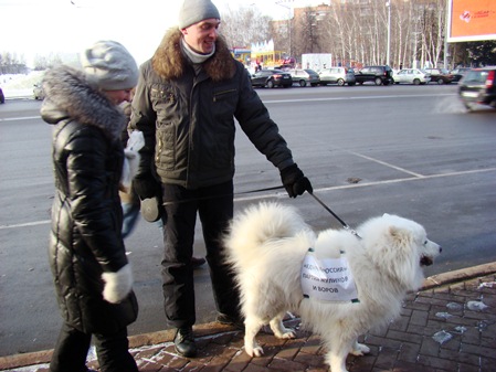Звездой  митингов в Ижевске стал белоснежный пес Фидель