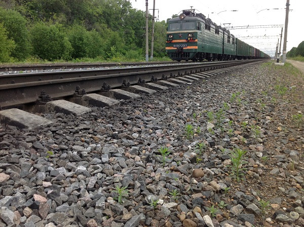 В Удмуртии сбитый поездом подросток получил смертельную травму