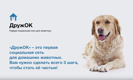 В России запустили первую соцсеть для домашних животных