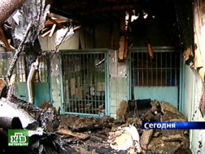 На пожаре в московском собачьем приюте ожоги получил трехлетний ребенок