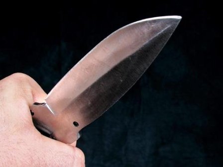 Ижевчанин, набросившийся с ножом на жену и ее родителей, признан невменяемым 