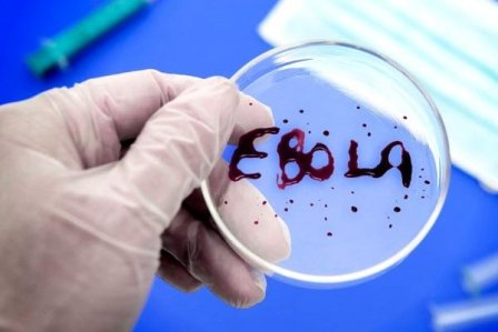Африканцев, живущих в России, проверят на вирус Эбола