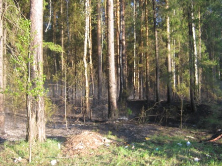  Природный пожар потушили в Сюмсинском районе