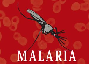 Малярию в Удмуртию завозят из дальнего зарубежья и Чечни