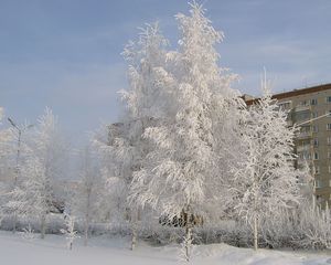 В Удмуртии началась снежная неделя