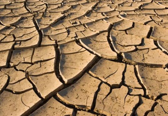 Режим ЧС введен в Удмуртии из-за засухи