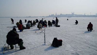 С оторвавшейся льдины в Финском заливе спасли 30 рыбаков