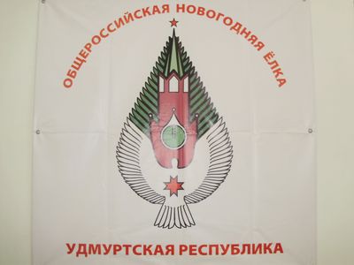 Фотообзор: школьники Удмуртии выбрали логотип на кремлевскую елку