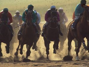 В Ижевске проходят конные соревнования в честь 90-летия Калашникова