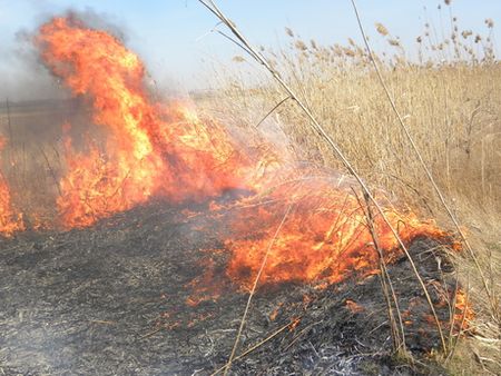 166 жителей Удмуртии наказаны за сжигание мусора с начала сезона