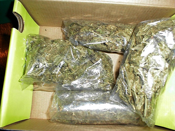 В садовом доме у жителя Ижевска нашли около 350 гр марихуаны