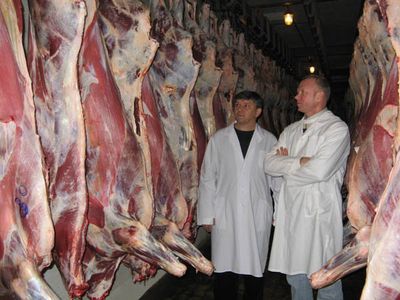 Ижевского предпринимателя заставили отключить холодильник из-за 800 кг просроченного мяса