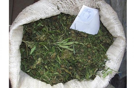 Почти 300 гр марихуаны нашли у жителя Удмуртии