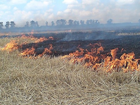 26 полевых пожаров произошла в Удмуртии с начала года