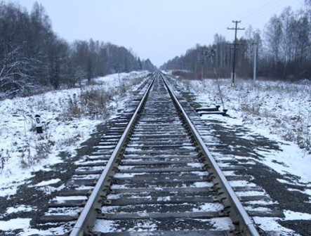 Пассажирский поезд Москва-Ижевск отстал от расписания на 3 часа