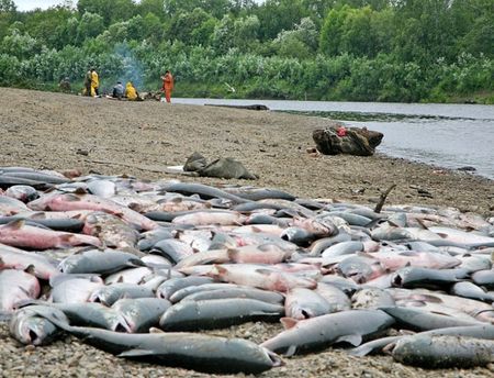 Шесть жителей Удмуртии задержали за незаконную рыбалку