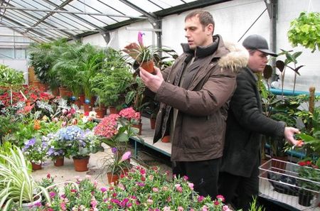 Накануне 8 марта в ижевских магазинах образовался дефицит на розы и тюльпаны