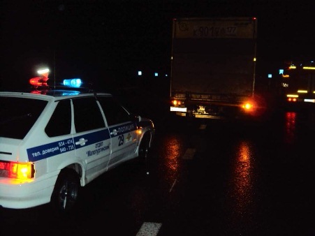 Пешехода сбил грузовик в Удмуртии