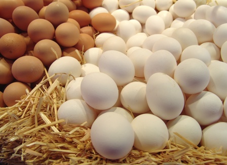 Яйца в Удмуртии подорожали на 20%