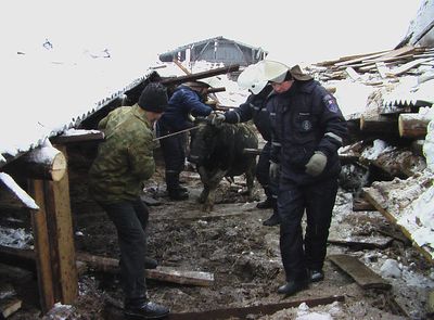 Обрушение крыши на ферме в Кезском районе Удмуртии расследуют повторно