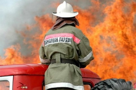 Пожароопасный сезон в лесах Удмуртии начинается 24 апреля