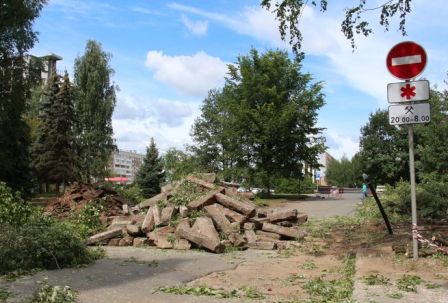 Рябины и ели вырубают возле здания городской администрации Ижевска 