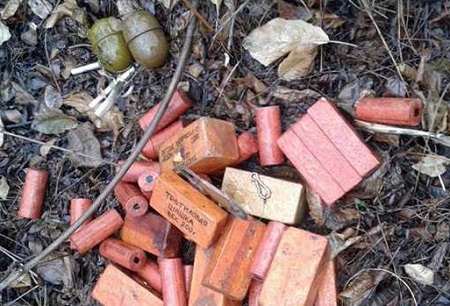 Тайник с тротилом и пластидом обнаружили в Глазовском районе Удмуртии
